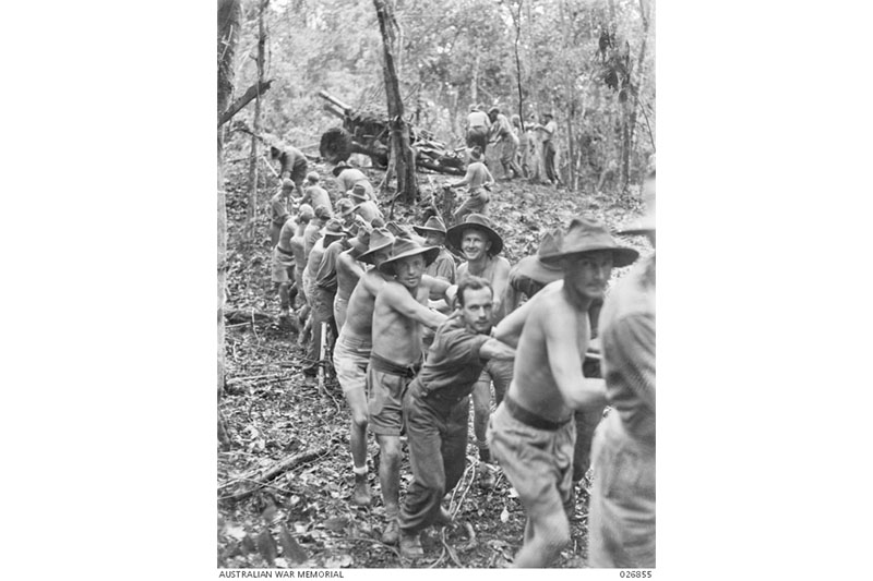 Australian gunners haul a 25-pounder gun along the Kokoda Trail. Thomas Fisher, 1942, AWM 026855.